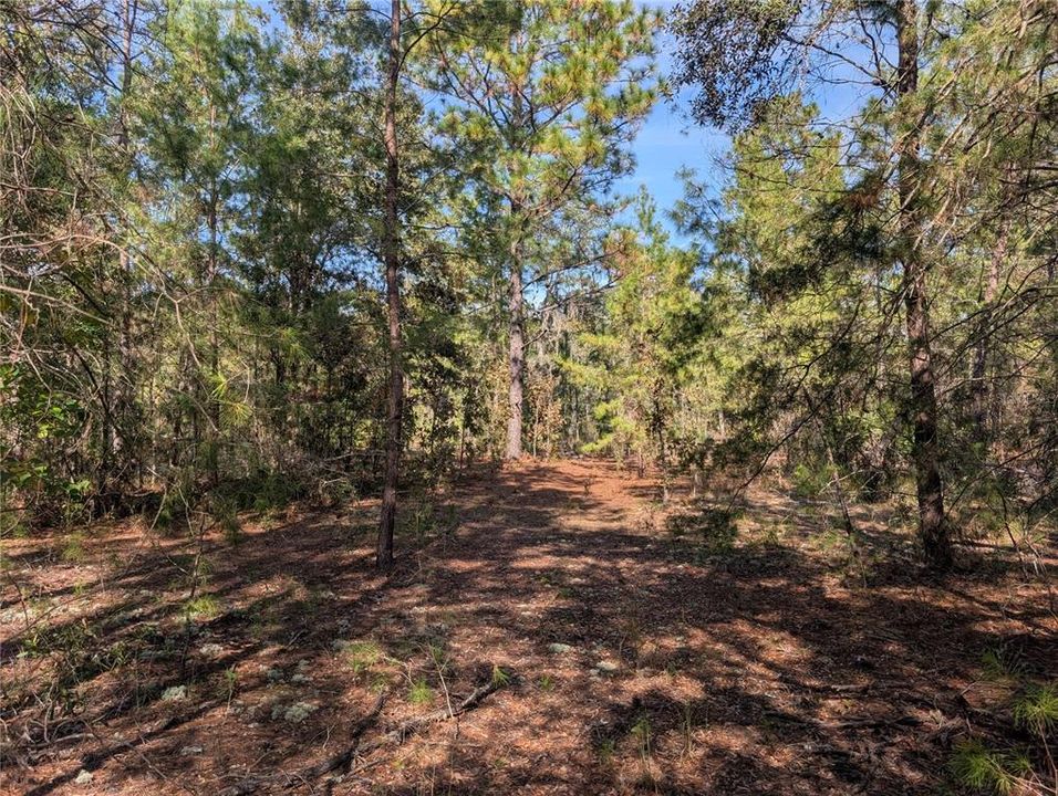 待售: $39,900 (2.60 acres)