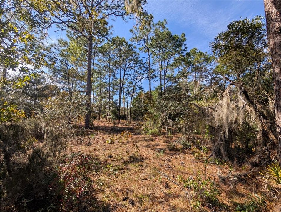 待售: $39,900 (2.60 acres)