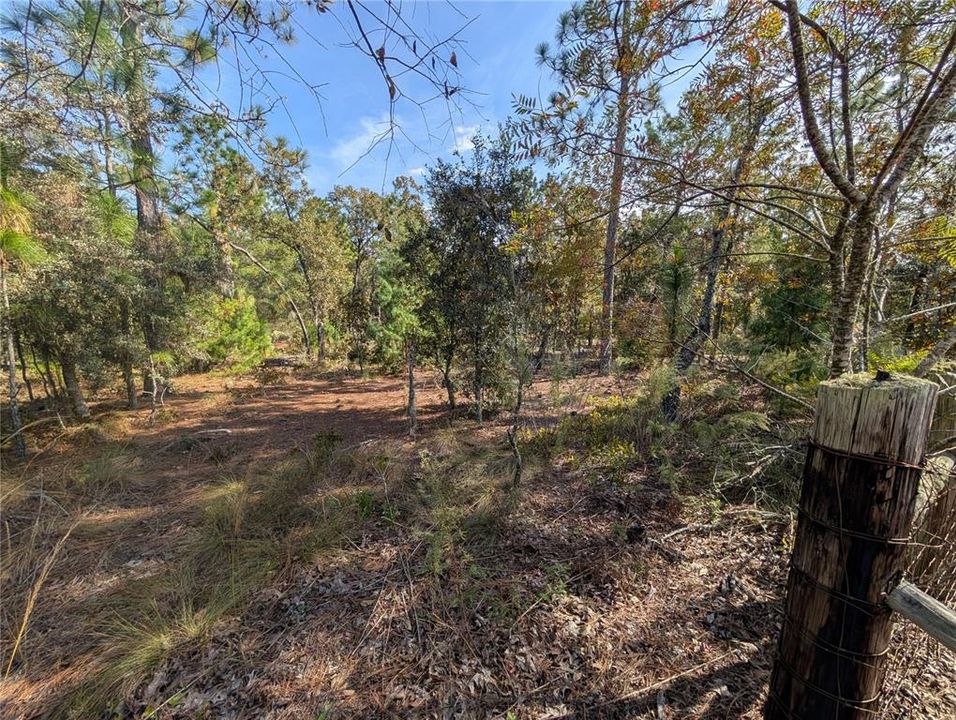 待售: $39,900 (2.60 acres)