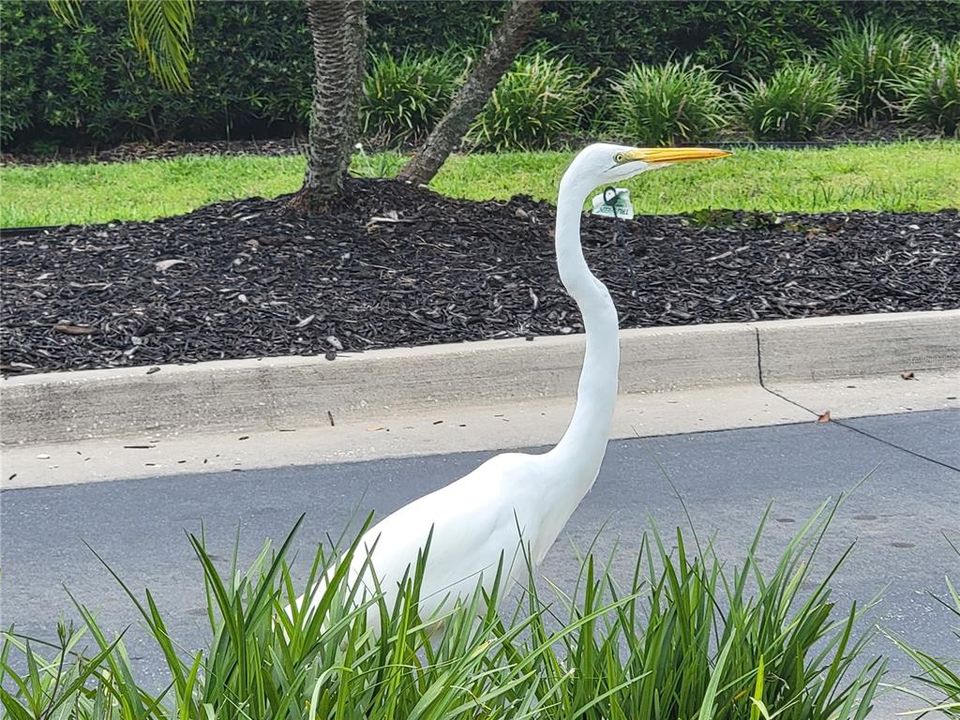 For Sale: $220,000 (3 beds, 2 baths, 1524 Square Feet)