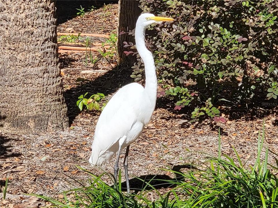 For Sale: $220,000 (3 beds, 2 baths, 1524 Square Feet)
