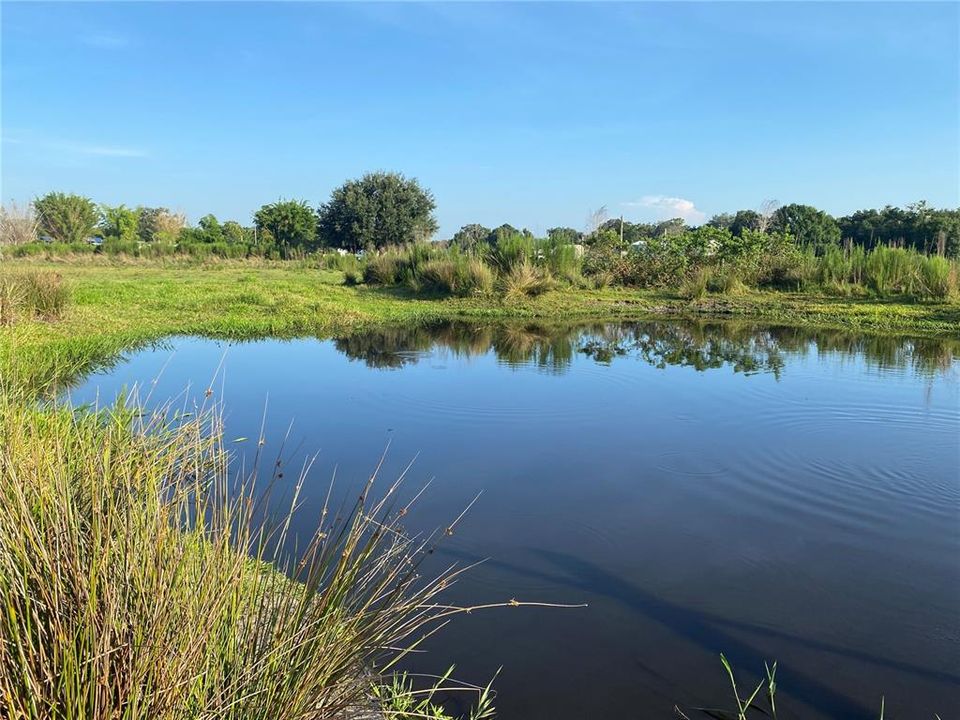 En Venta: $119,900 (5.07 acres)