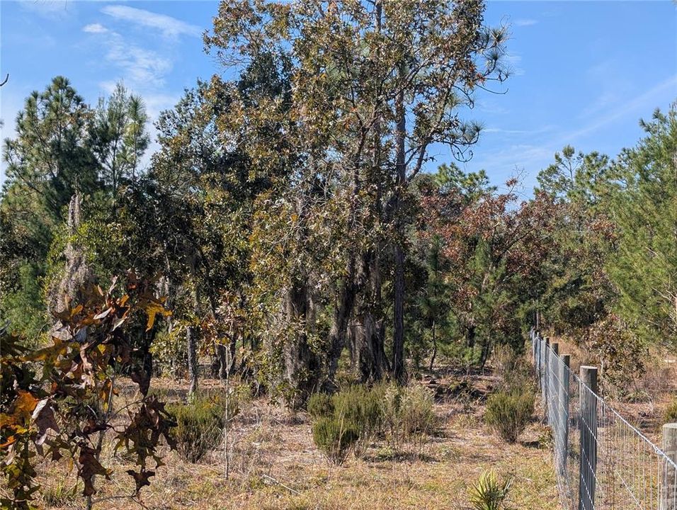 待售: $39,900 (2.35 acres)