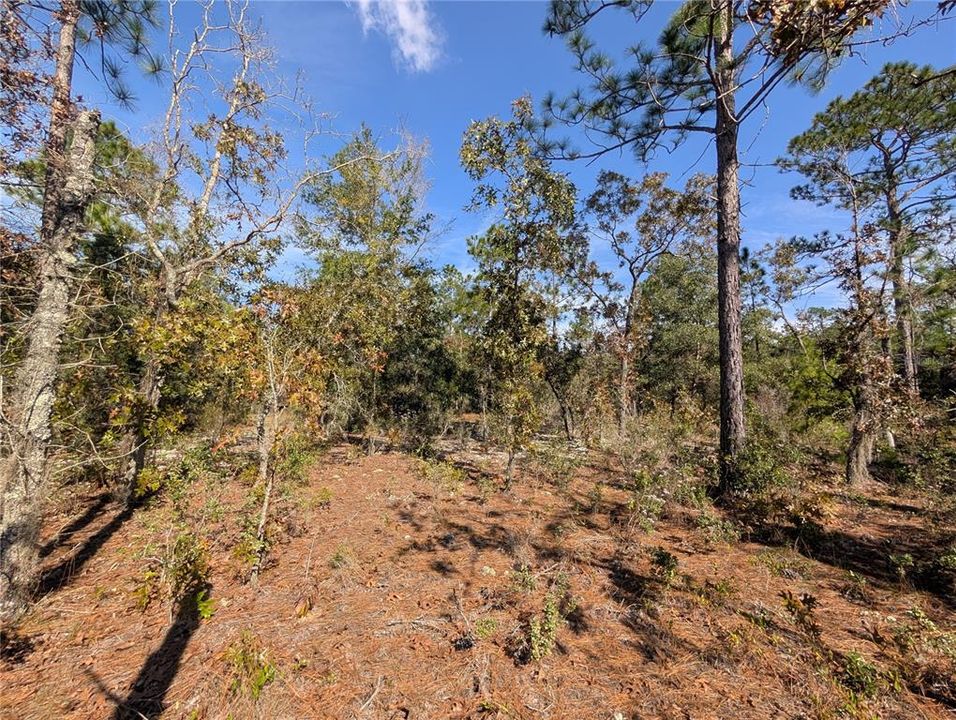 待售: $39,900 (2.35 acres)