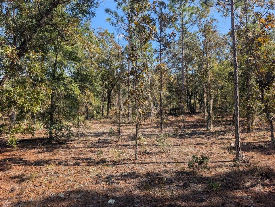 待售: $39,900 (2.35 acres)