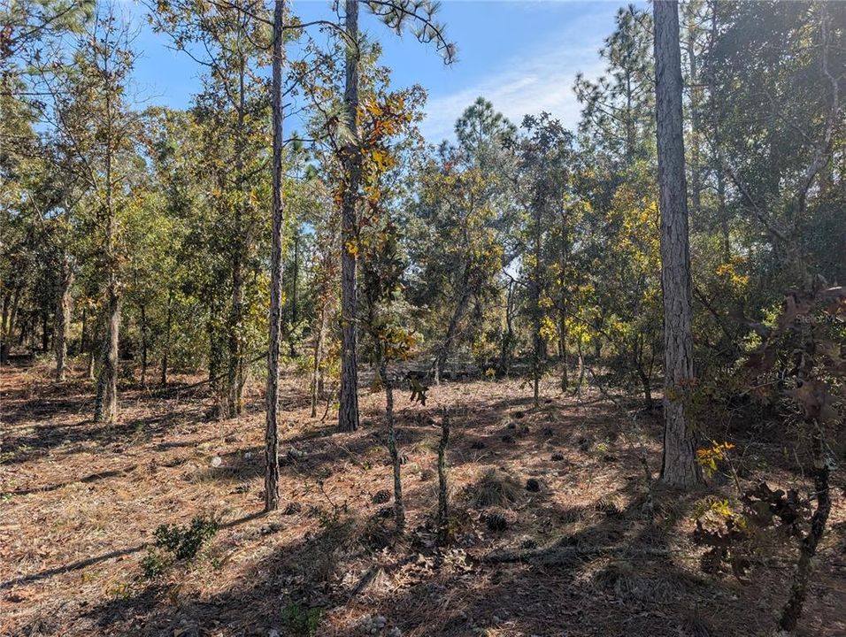 待售: $39,900 (2.35 acres)