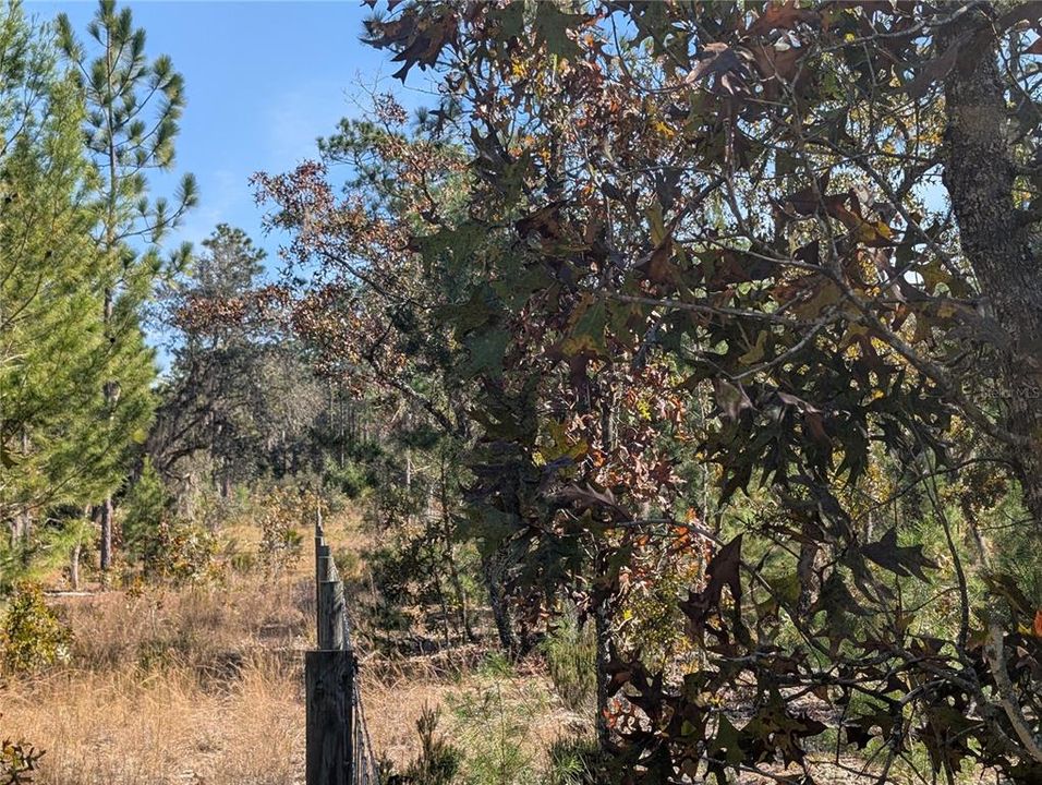 待售: $39,900 (2.35 acres)