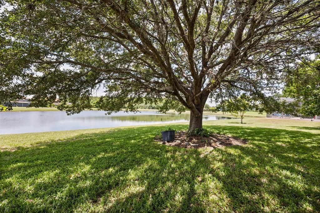 En Venta: $499,900 (5 camas, 4 baños, 3425 Pies cuadrados)