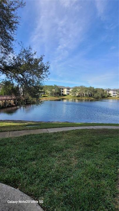 For Rent: $1,700 (2 beds, 2 baths, 990 Square Feet)