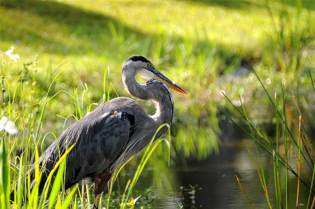 待售: $129,000 (0.69 acres)