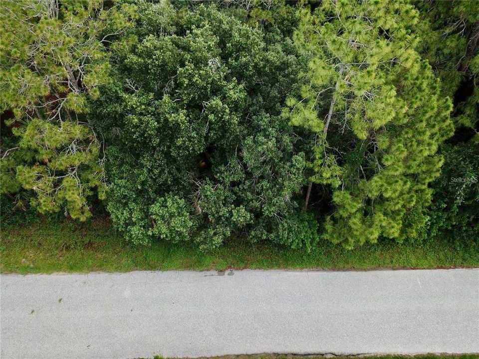 For Sale: $15,000 (0.24 acres)