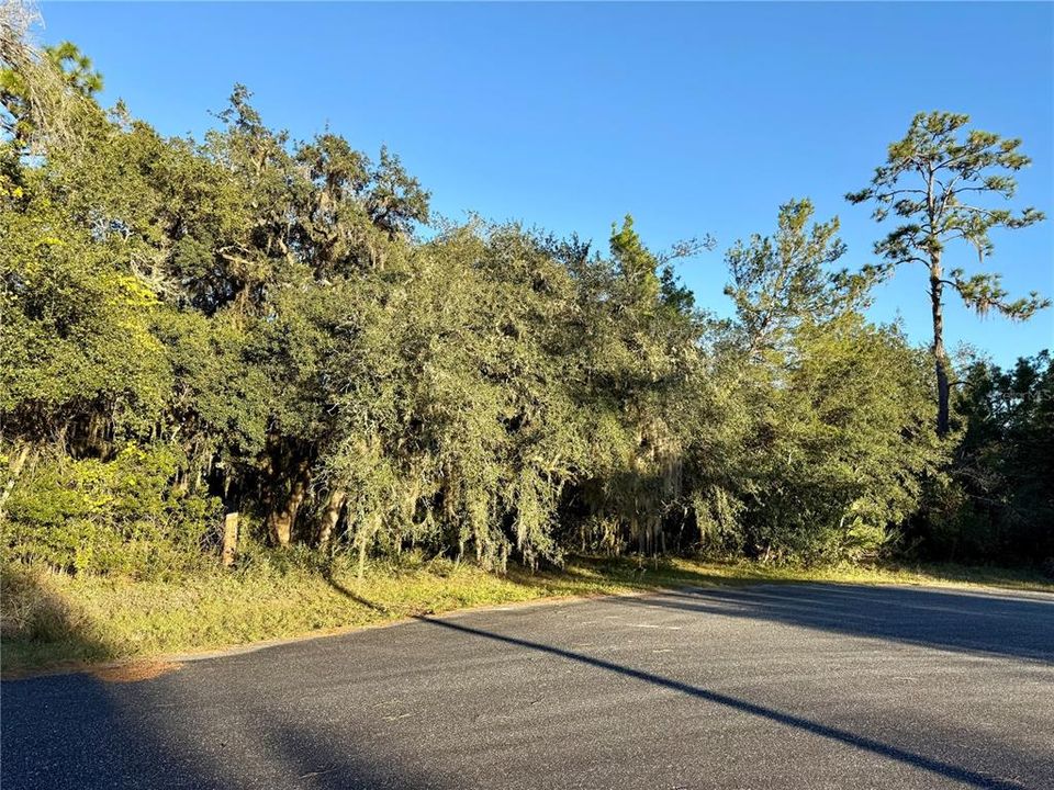 待售: $120,000 (1.09 acres)