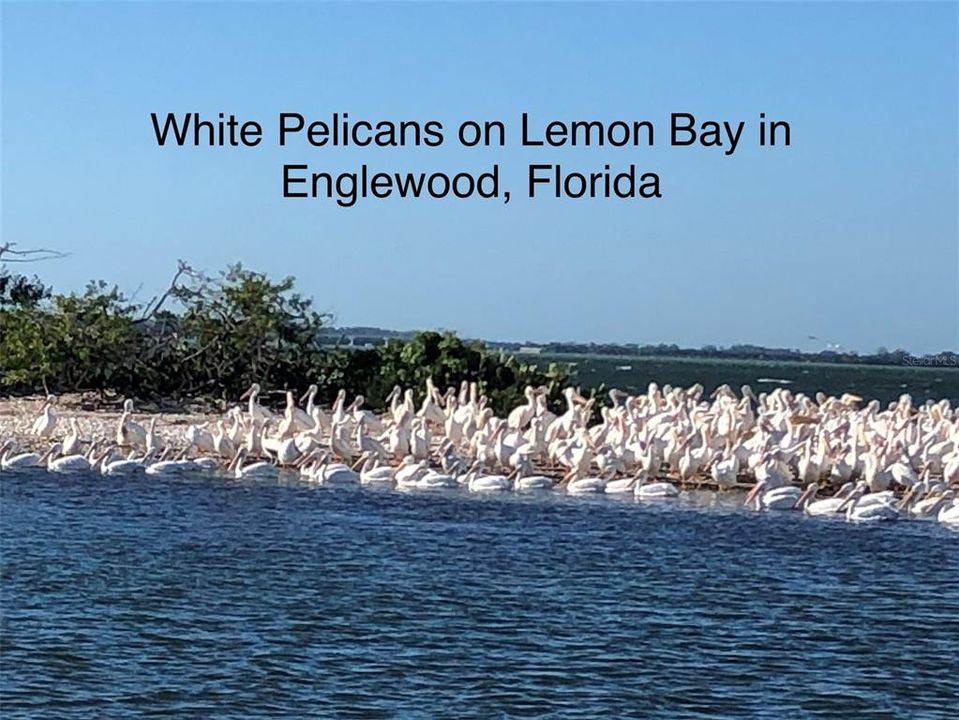 Active With Contract: $499,000 (3 beds, 2 baths, 1806 Square Feet)