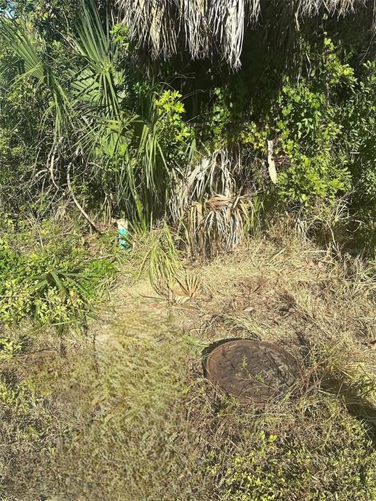 Active With Contract: $38,000 (0.23 acres)