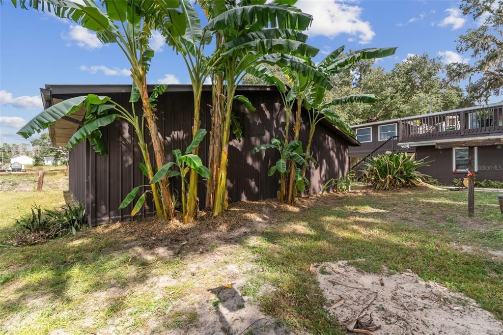 For Sale: $589,900 (3 beds, 2 baths, 3206 Square Feet)