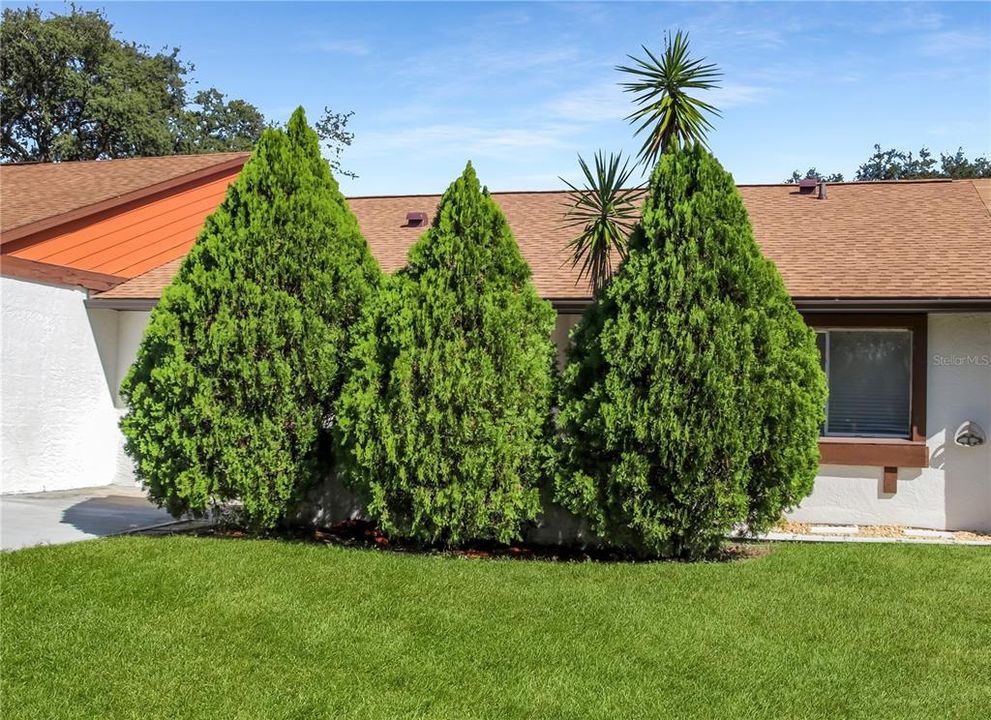 На продажу: $275,000 (2 спален, 2 ванн, 1020 Квадратных фут)