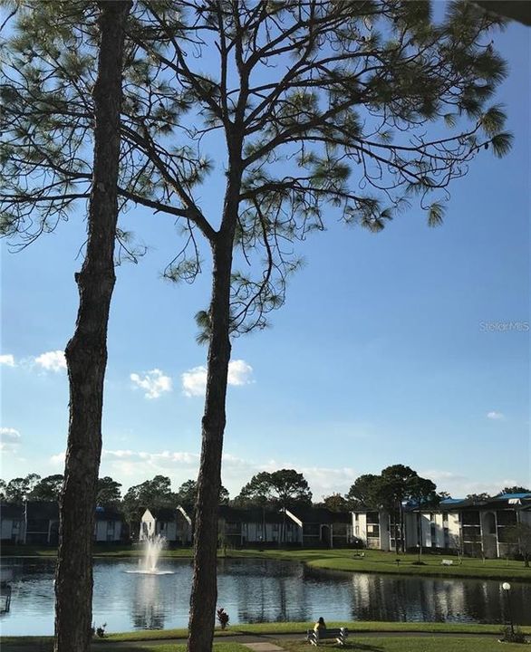 For Rent: $1,300 (1 beds, 1 baths, 926 Square Feet)