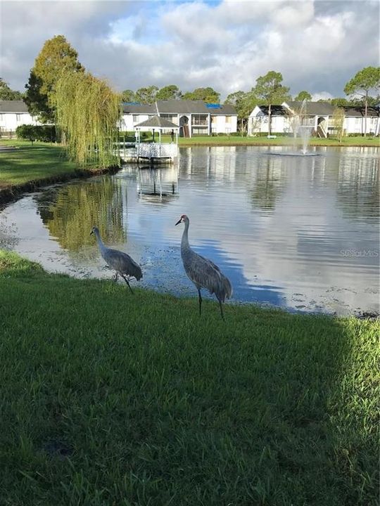 For Rent: $1,300 (1 beds, 1 baths, 926 Square Feet)