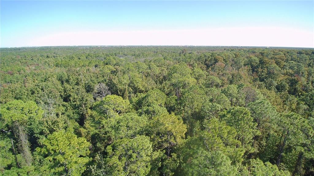 Active With Contract: $575,000 (6 beds, 4 baths, 2926 Square Feet)