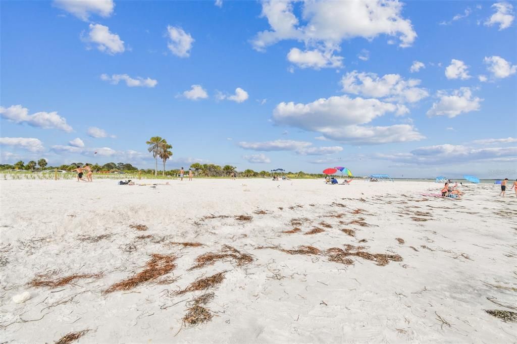 Под контрактом: $1,295,000 (4 спален, 4 ванн, 3166 Квадратных фут)