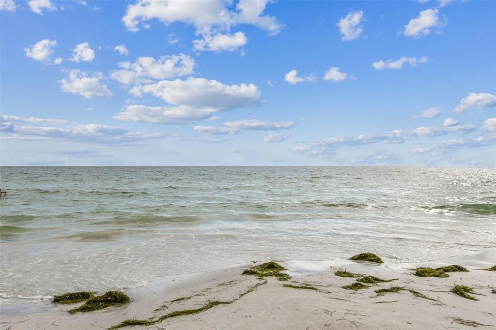 Под контрактом: $1,295,000 (4 спален, 4 ванн, 3166 Квадратных фут)