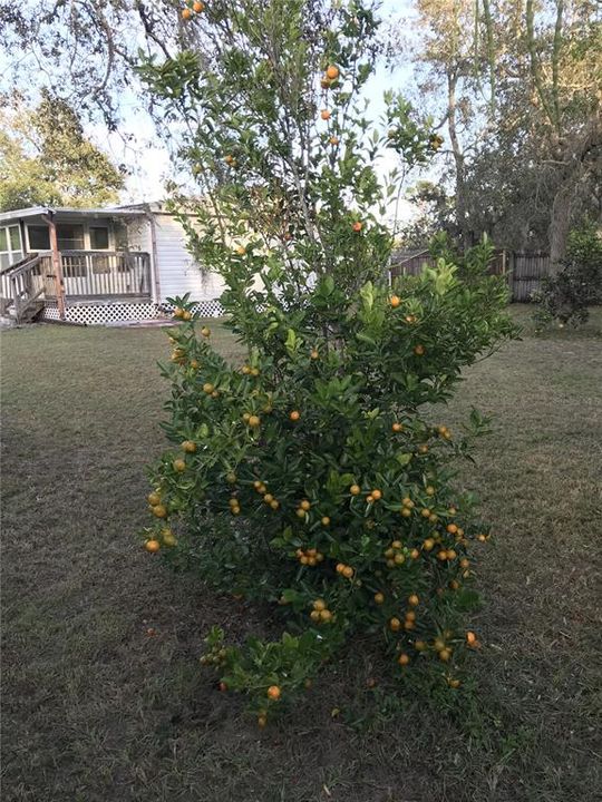 For Sale: $128,000 (2 beds, 2 baths, 1104 Square Feet)