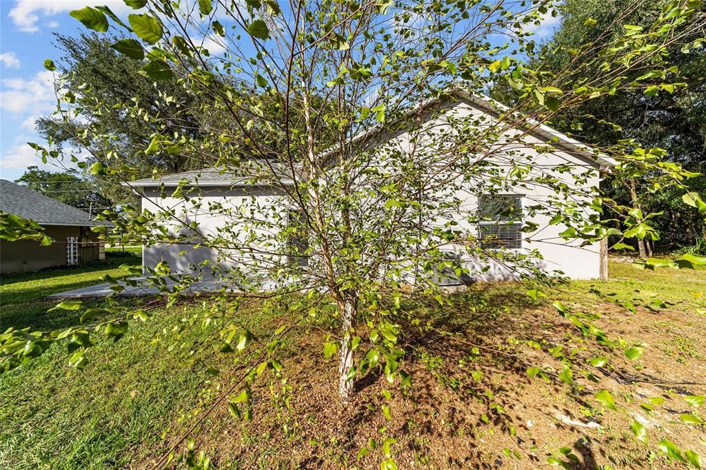 Activo con contrato: $225,000 (3 camas, 2 baños, 1242 Pies cuadrados)