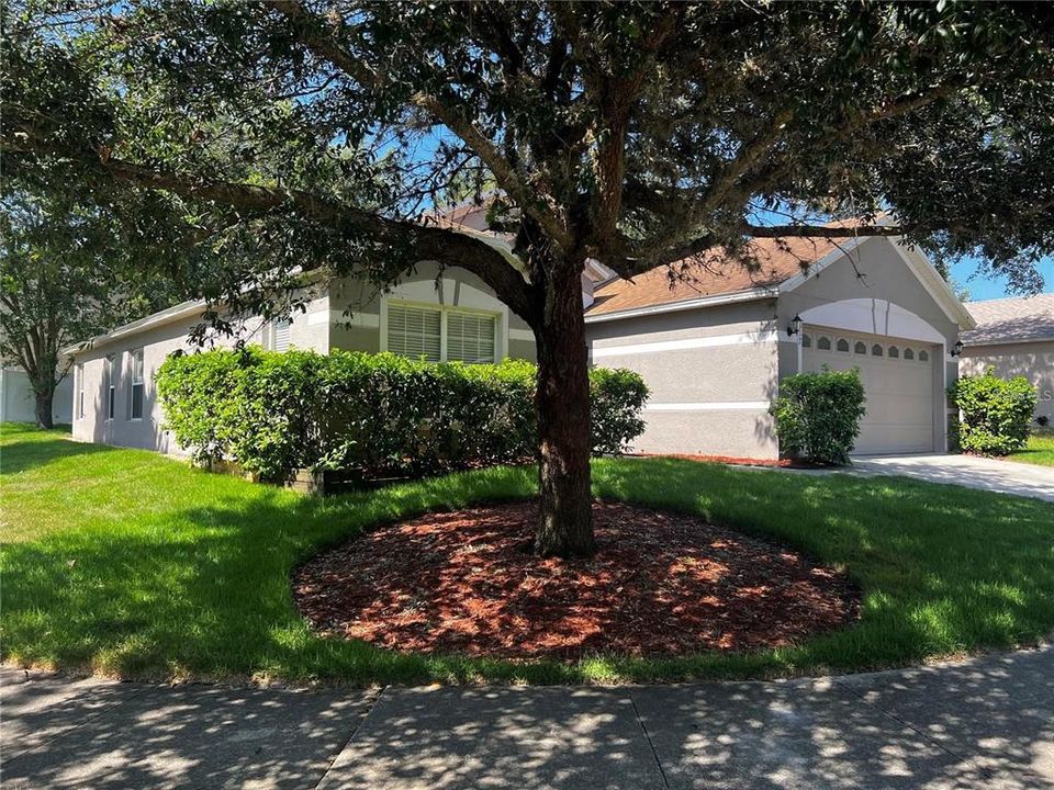 出租: $2,250 (3 贝兹, 2 浴室, 1842 平方英尺)