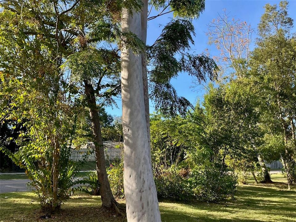 Active With Contract: $269,000 (3 beds, 2 baths, 1831 Square Feet)