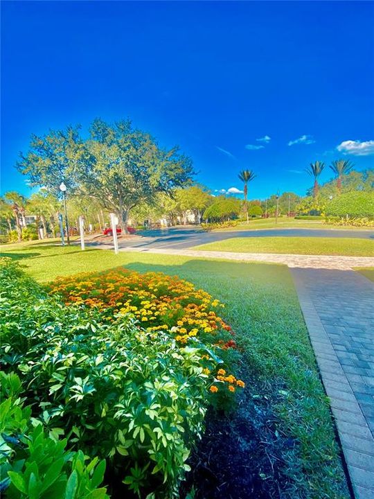 待售: $260,000 (3 贝兹, 2 浴室, 1249 平方英尺)