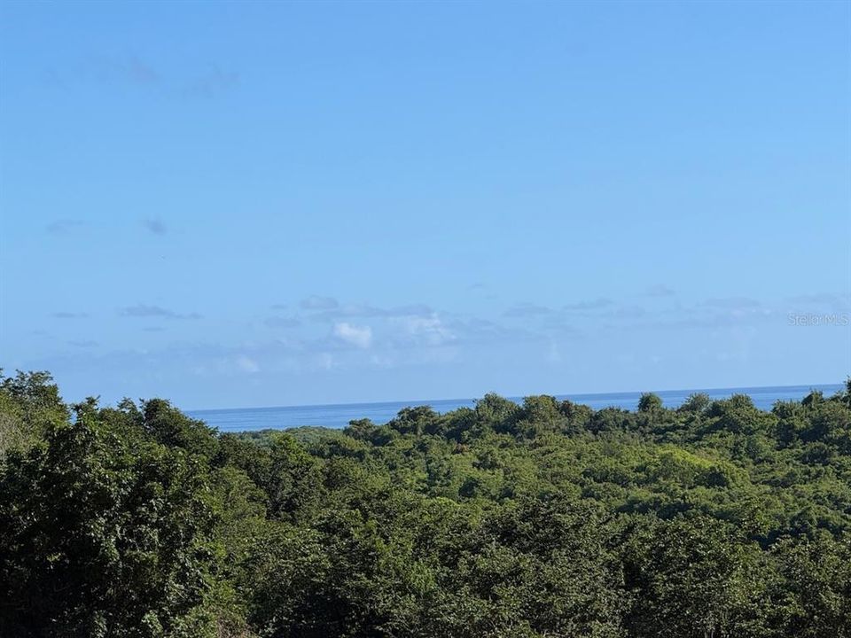 En Venta: $99,000 (0.47 acres)