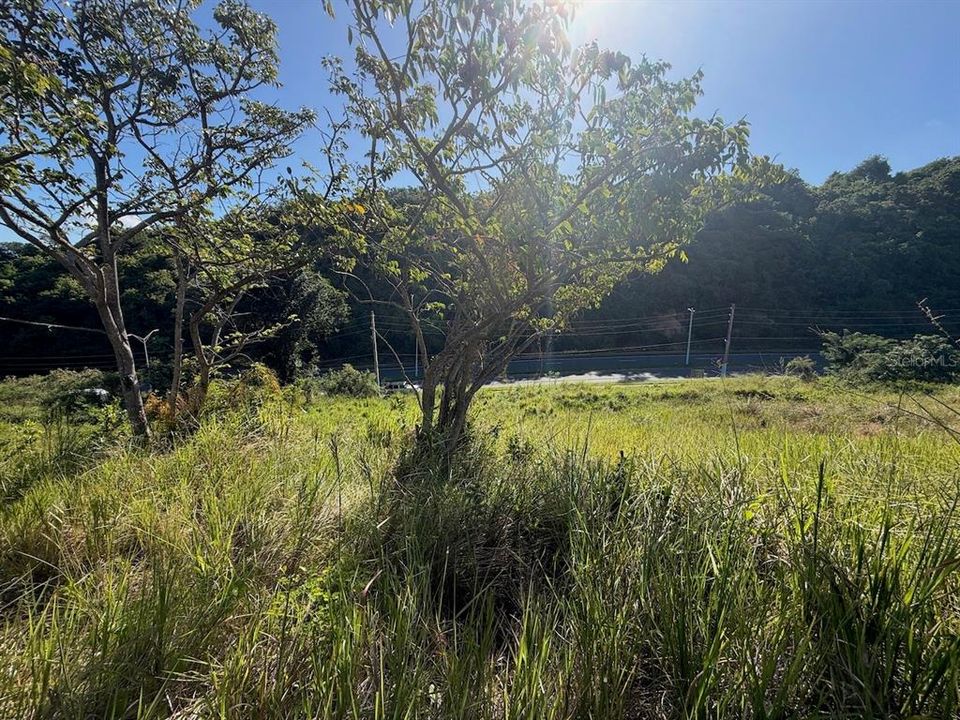 En Venta: $99,000 (0.47 acres)