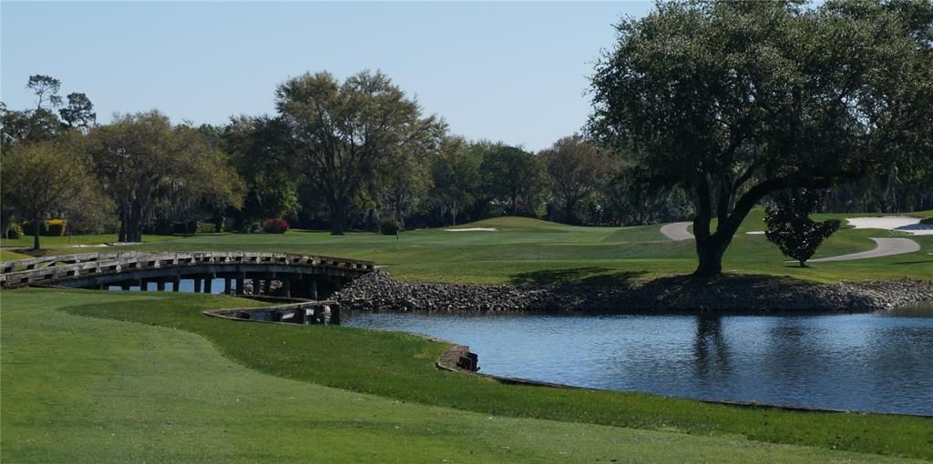 Active With Contract: $999,000 (3 beds, 2 baths, 2521 Square Feet)