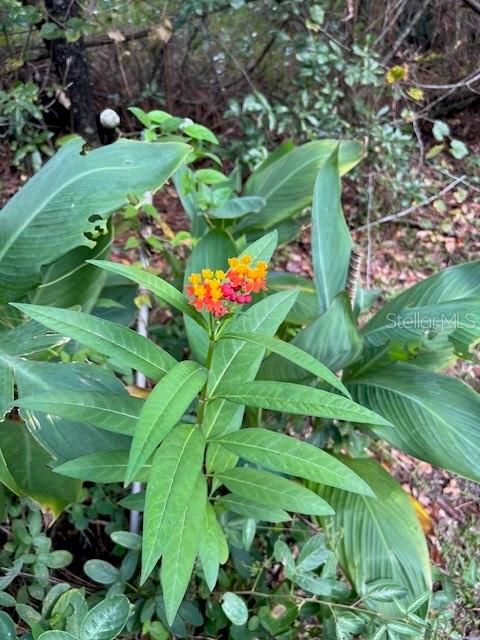 Activo con contrato: $279,900 (3 camas, 2 baños, 1512 Pies cuadrados)