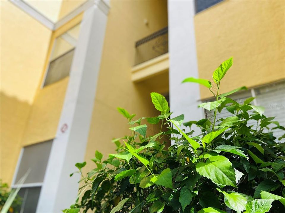 For Rent: $1,695 (2 beds, 2 baths, 1111 Square Feet)