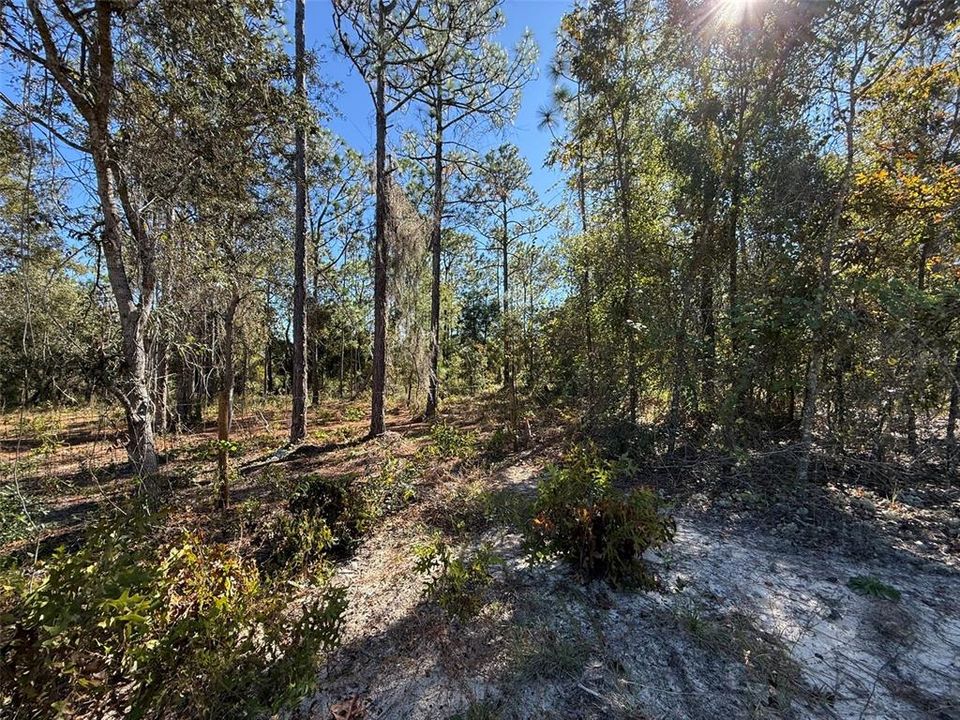 待售: $37,500 (0.55 acres)