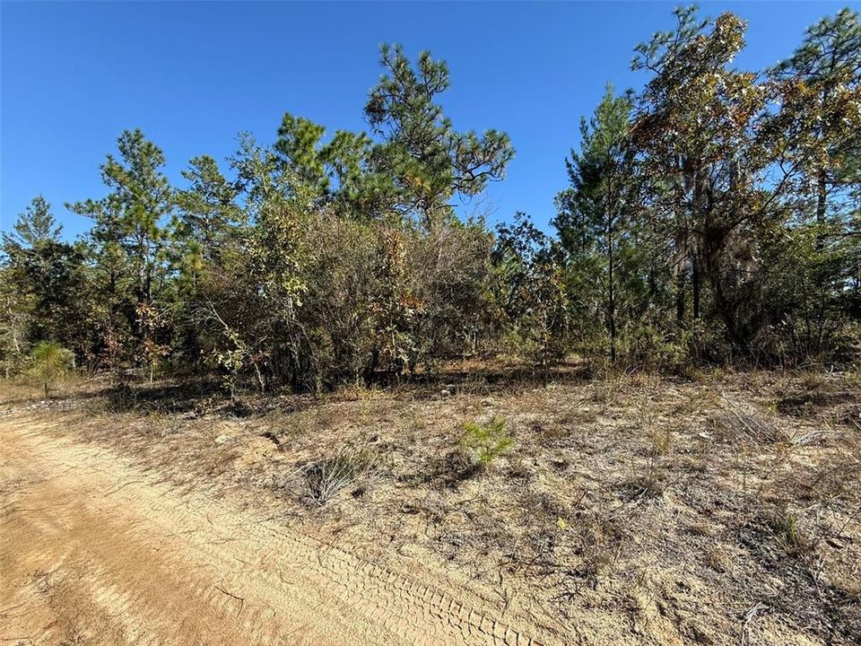 待售: $37,500 (0.55 acres)