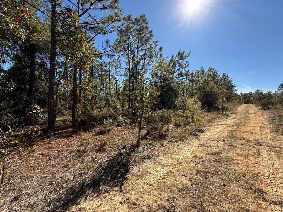 待售: $37,500 (0.55 acres)