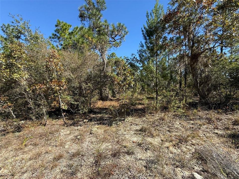 待售: $37,500 (0.55 acres)