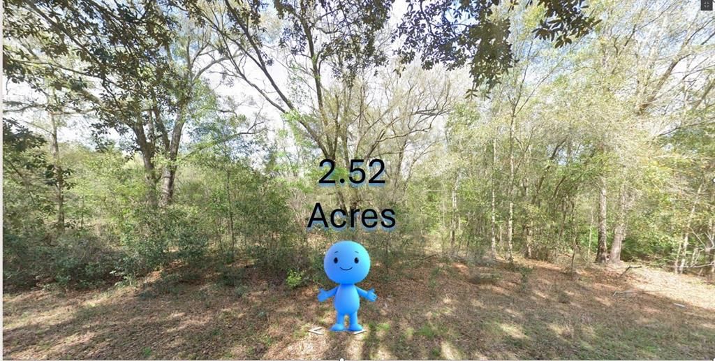 For Sale: $93,870 (2.52 acres)