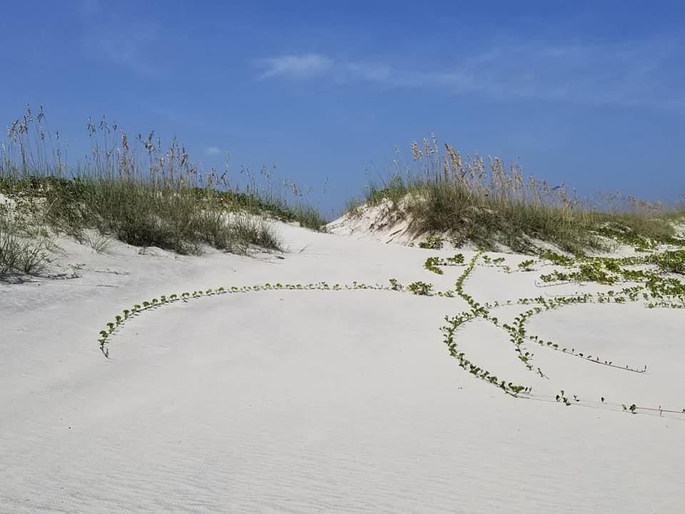 En Venta: $465,000 (3 camas, 2 baños, 2252 Pies cuadrados)