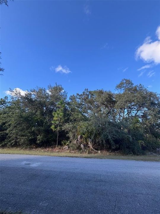 For Sale: $33,500 (1.16 acres)