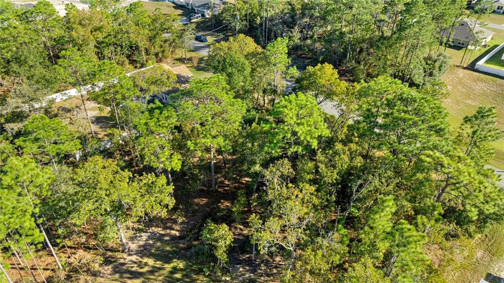 Active With Contract: $39,900 (0.23 acres)