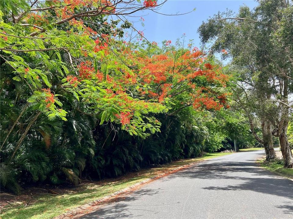 En Venta: $480,000 (4 camas, 2 baños, 2200 Pies cuadrados)