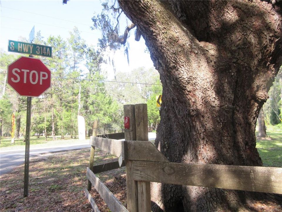 For Sale: $149,000 (2 beds, 1 baths, 951 Square Feet)