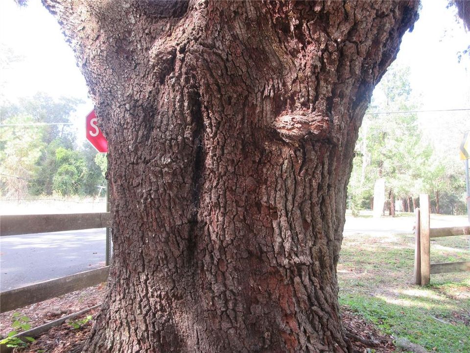 For Sale: $149,000 (2 beds, 1 baths, 951 Square Feet)