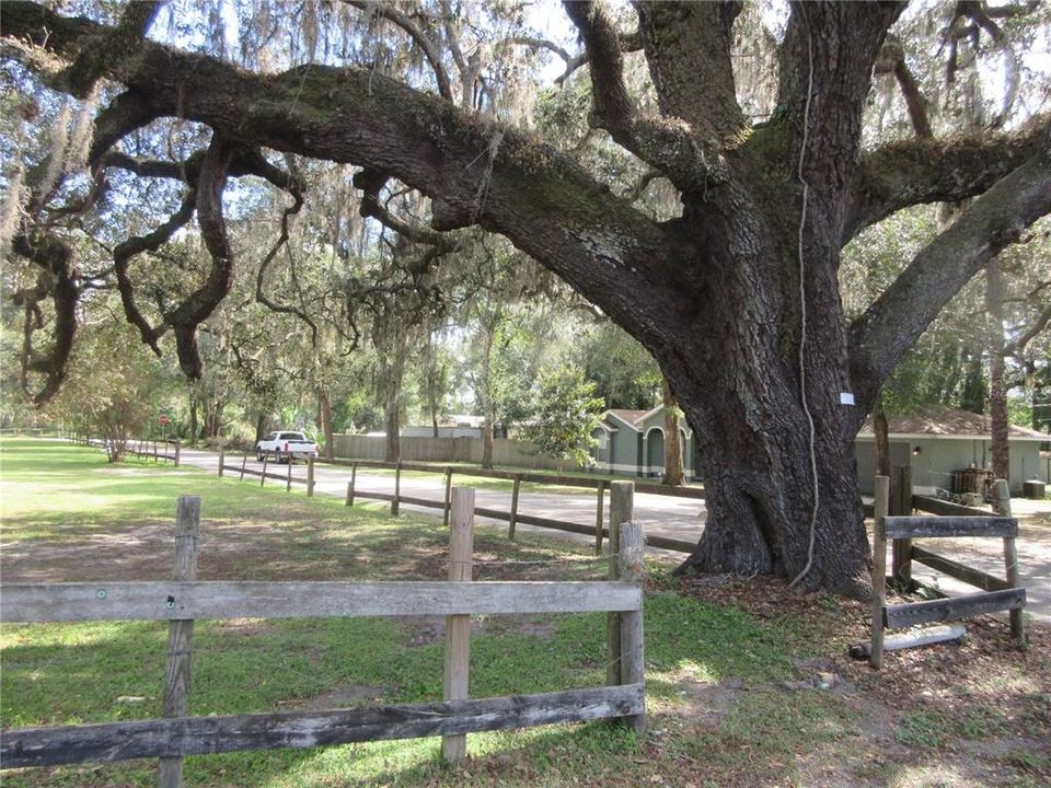 For Sale: $149,000 (2 beds, 1 baths, 951 Square Feet)