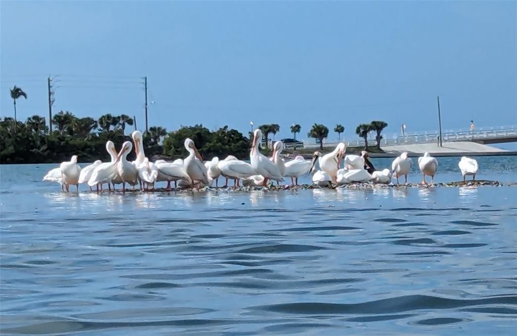 На продажу: $420,000 (2 спален, 2 ванн, 1070 Квадратных фут)