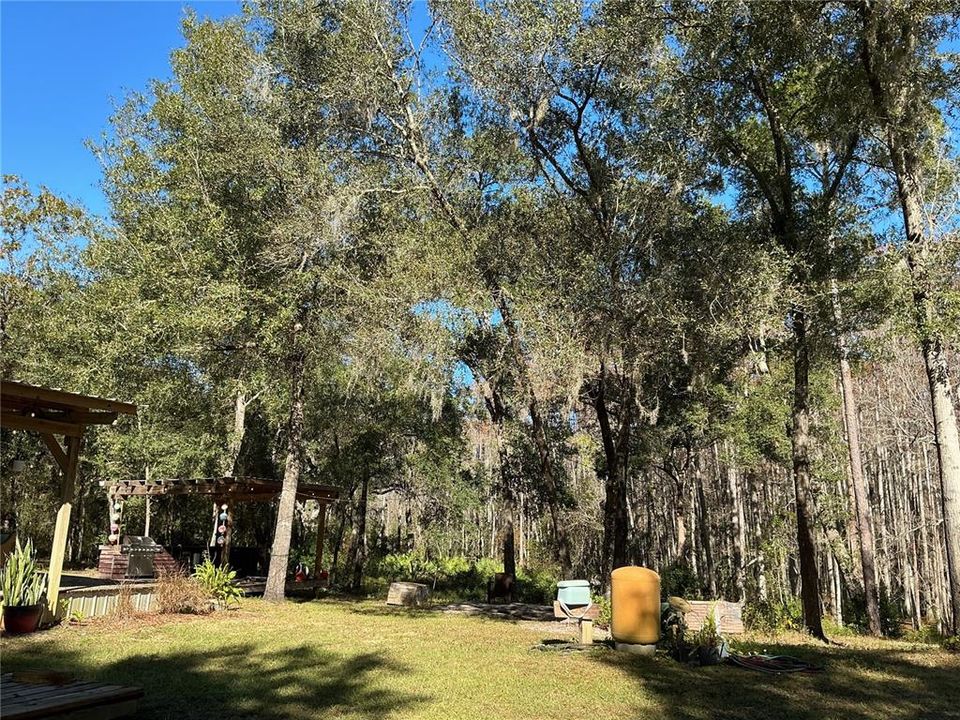 For Sale: $375,000 (9.99 acres)