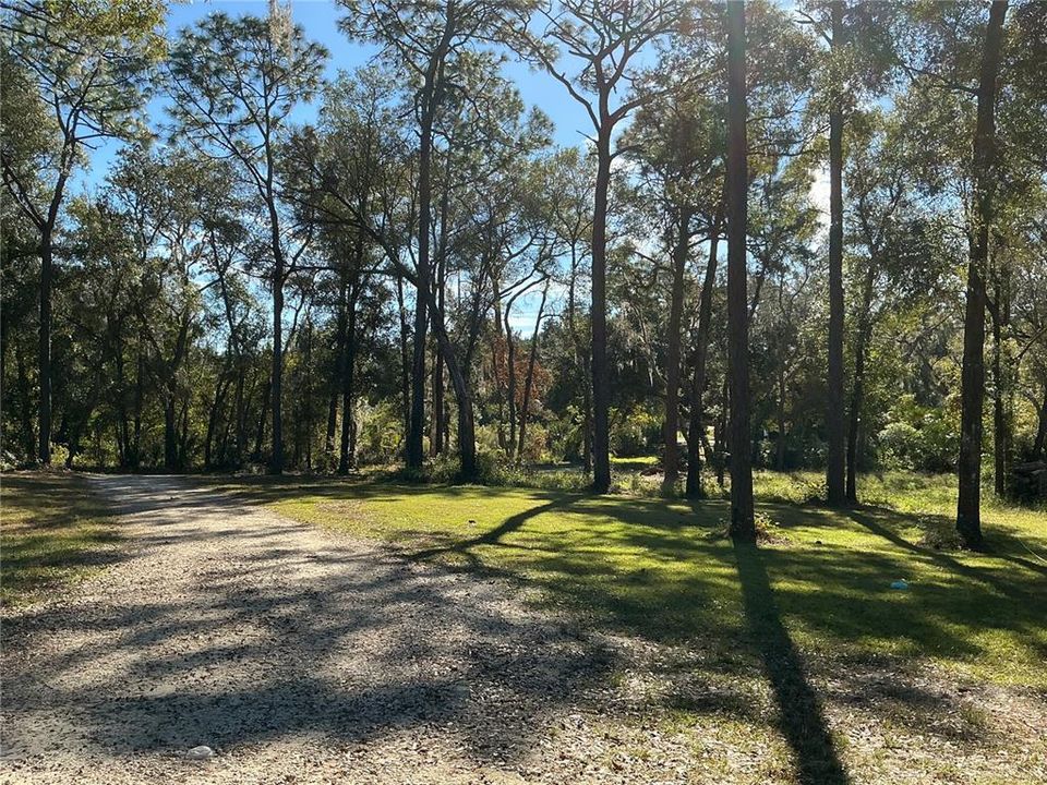 For Sale: $375,000 (9.99 acres)